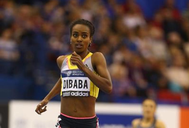 dibaba-st
