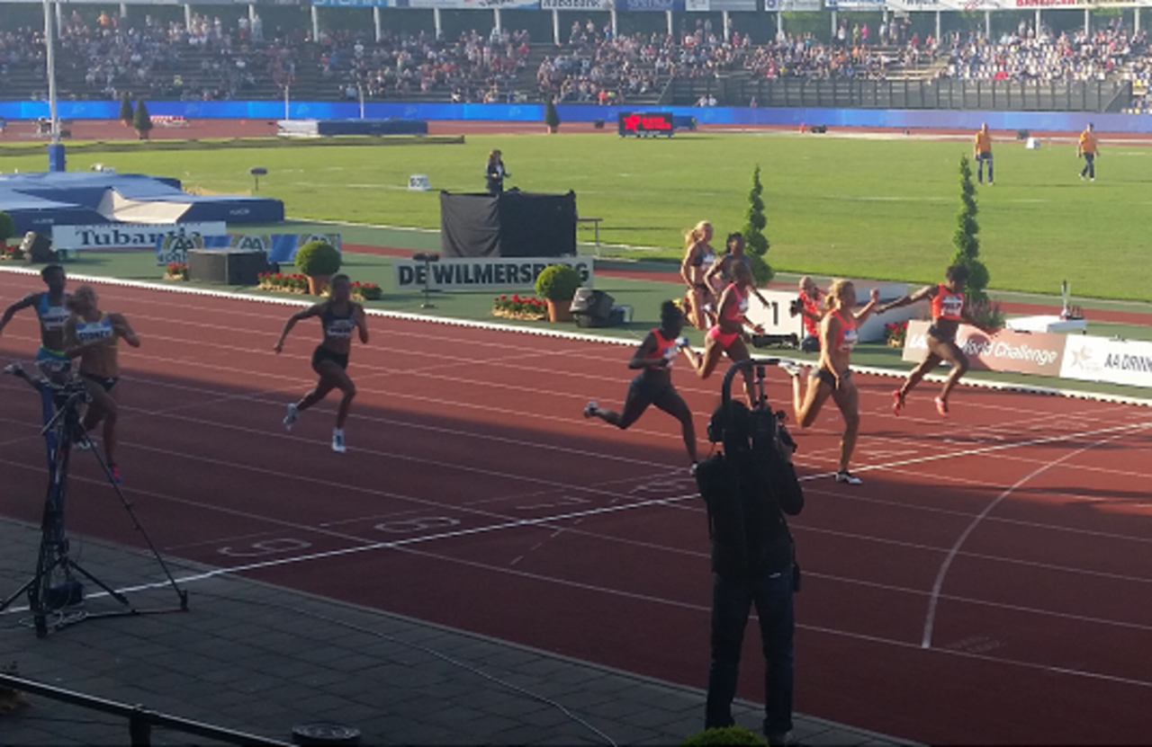 schippers- Finish